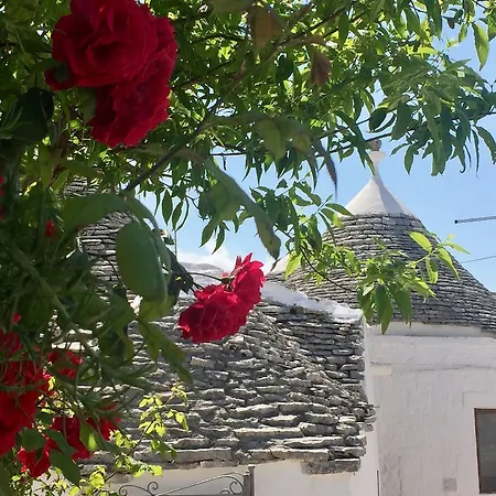 Trullo In Light * Alberobello
